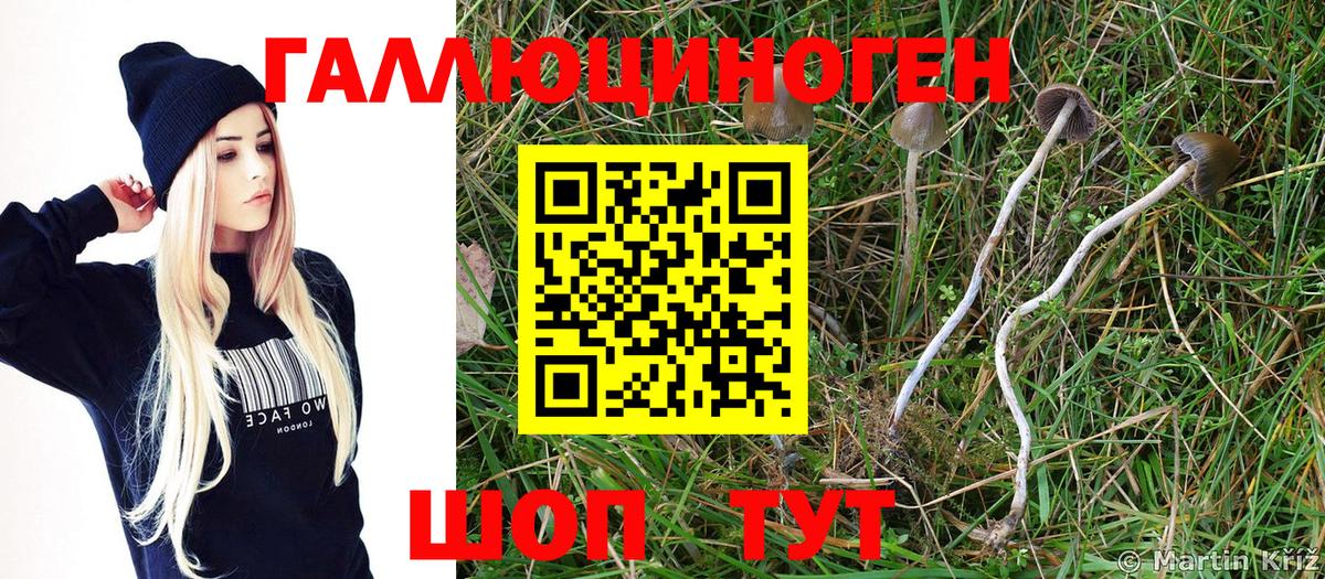 Галлюциногенные грибы Magic Shrooms Оренбург